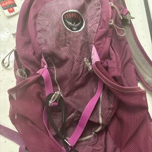 Osprey Purple Backpack